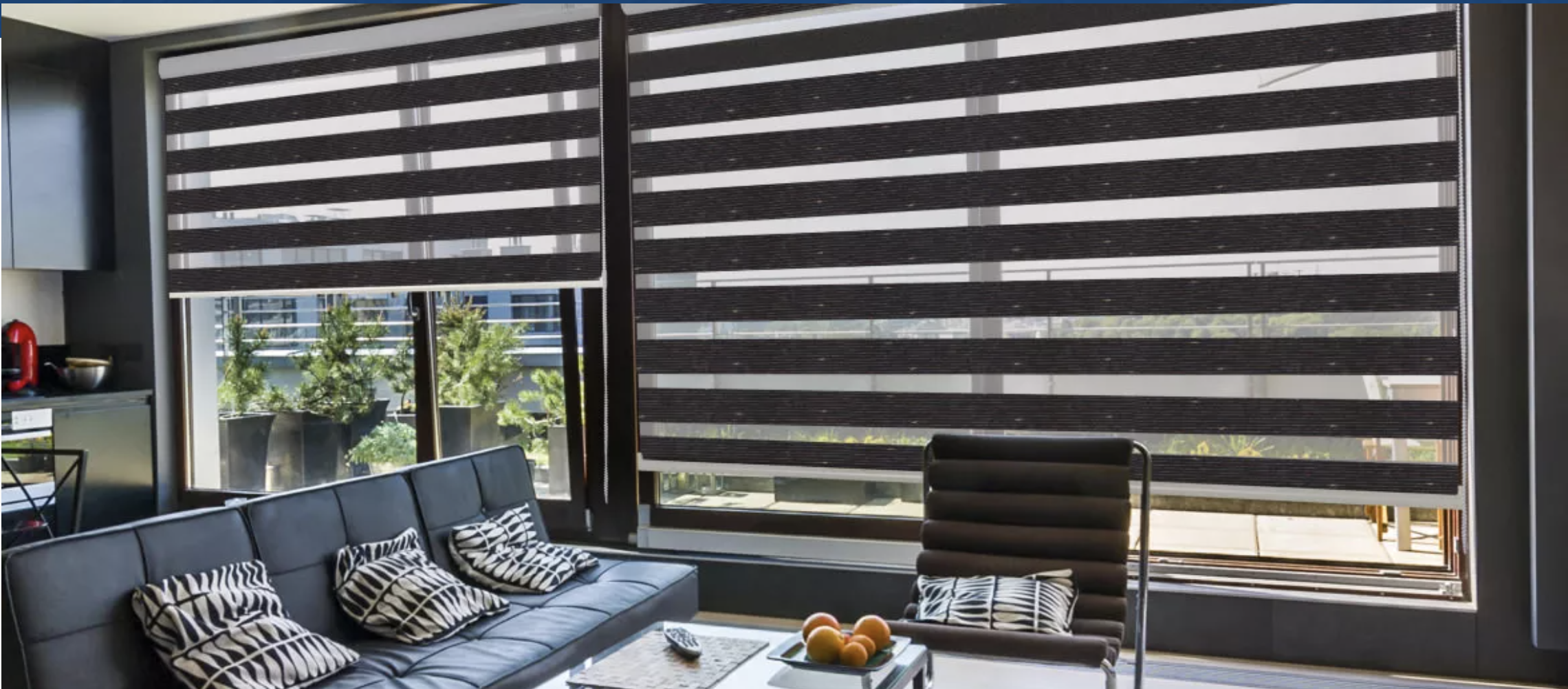 Zebra blinds providing perfect balance of light and privacy